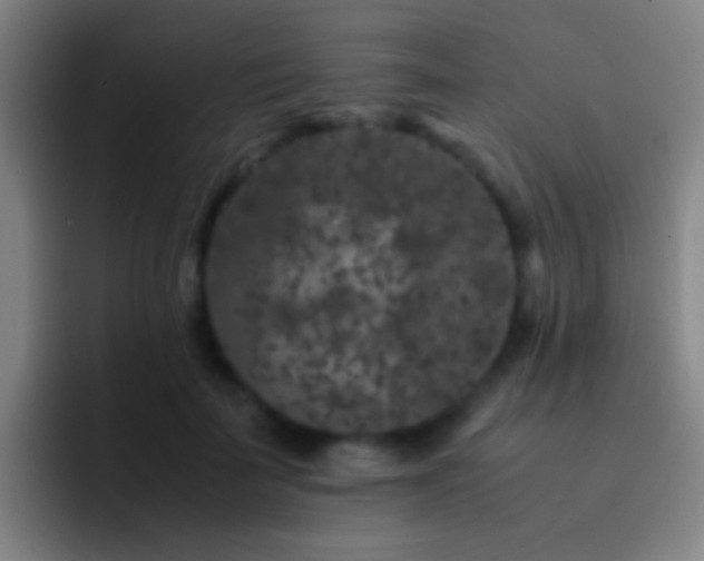 X0000092290699200709211213