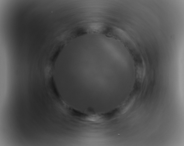 X0000092290701200709211213