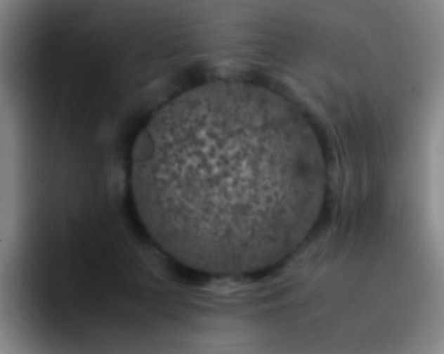 X0000092290703200709211213