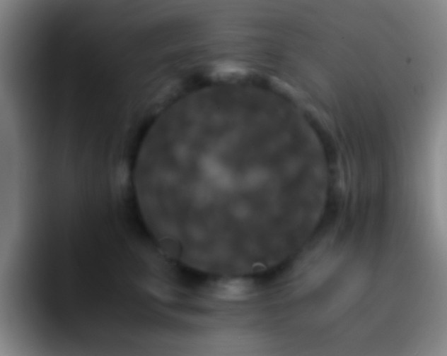 X0000092290711200709211213