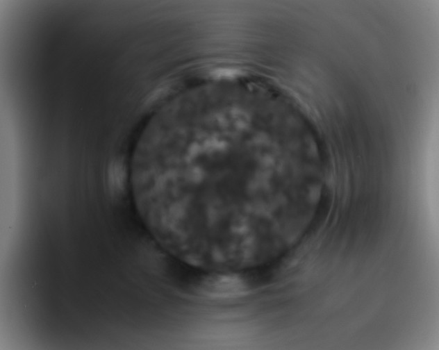 X0000092290715200709211213