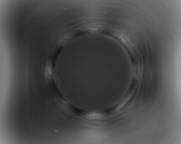 X0000092290718200709211213