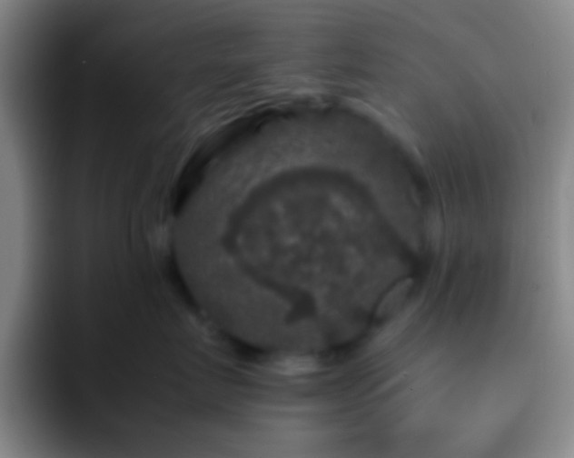 X0000092290719200709211213