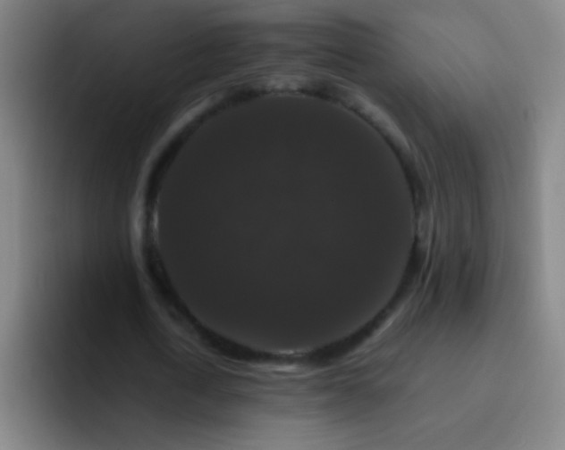 X0000092290722200709211213