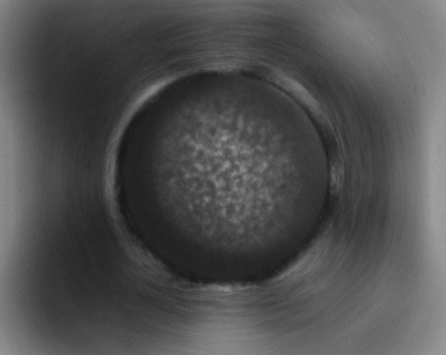 X0000092290724200709211213