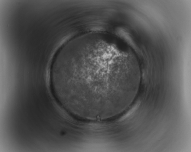 X0000092290725200709211213