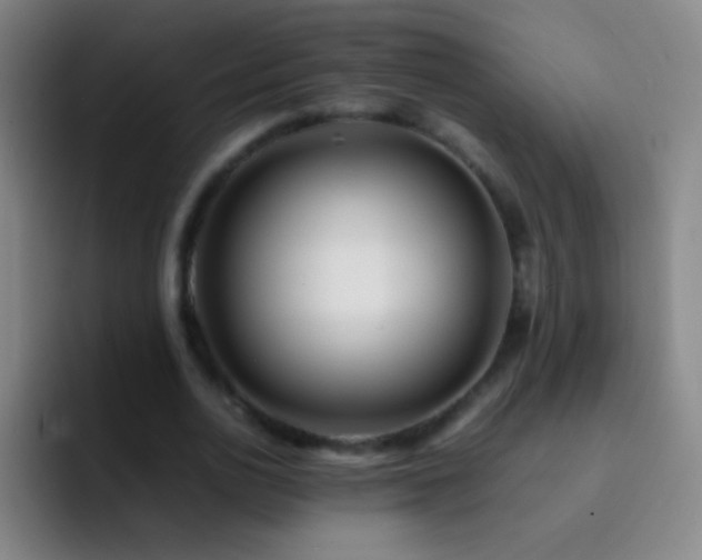 X0000092290726200709211213