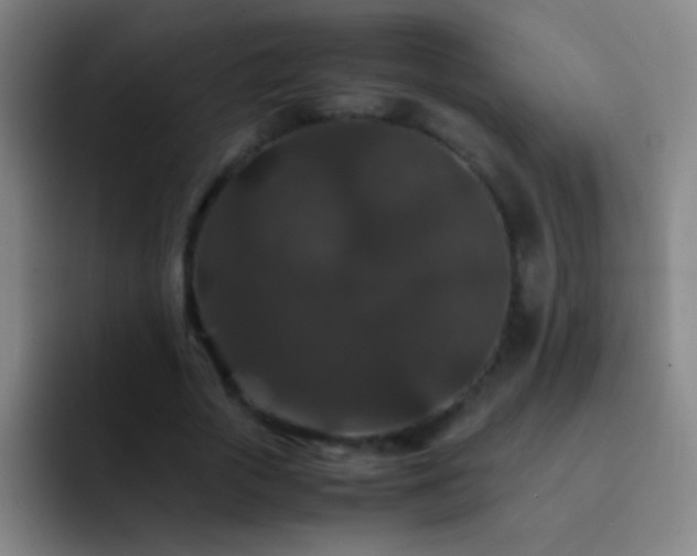 X0000092290729200709211213