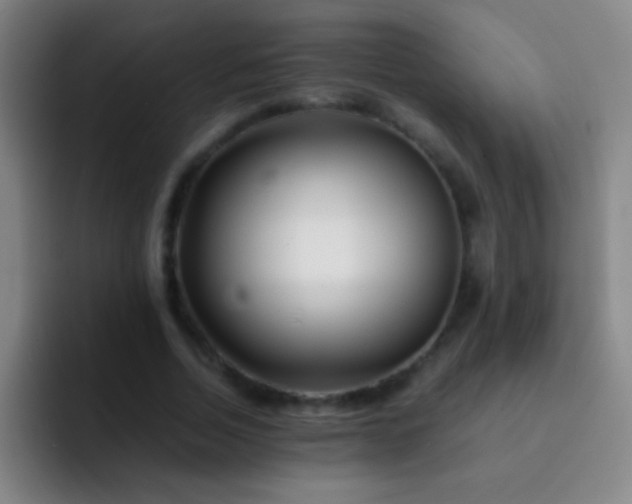 X0000092290730200709211213