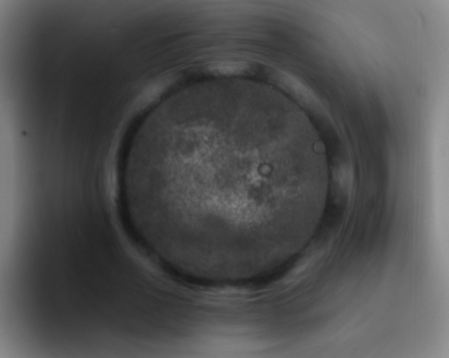 X0000092290734200709211213