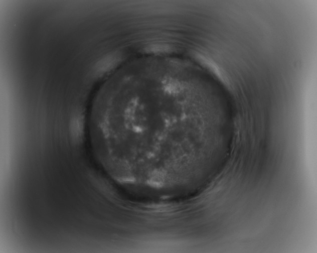 X0000092290735200709211213