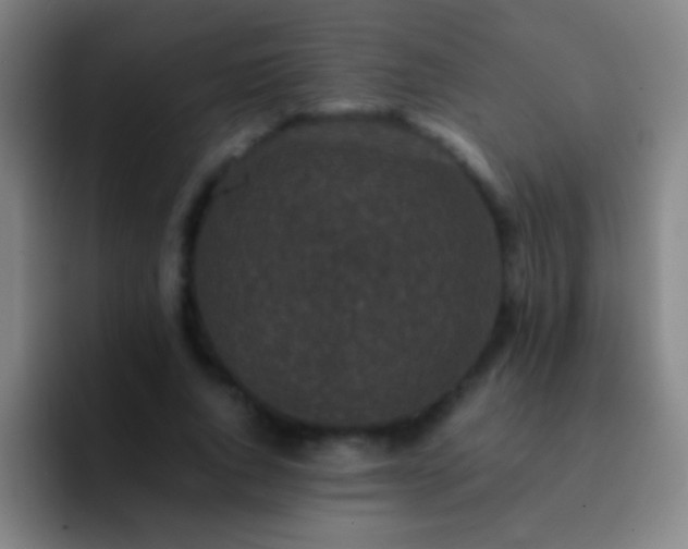 X0000092290736200709211213