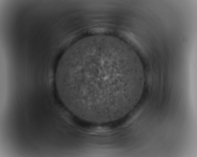 X0000092290737200709211213