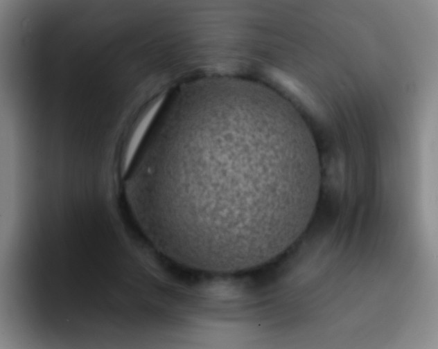 X0000092290738200709211213