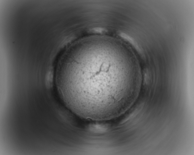 X0000092290739200709211213