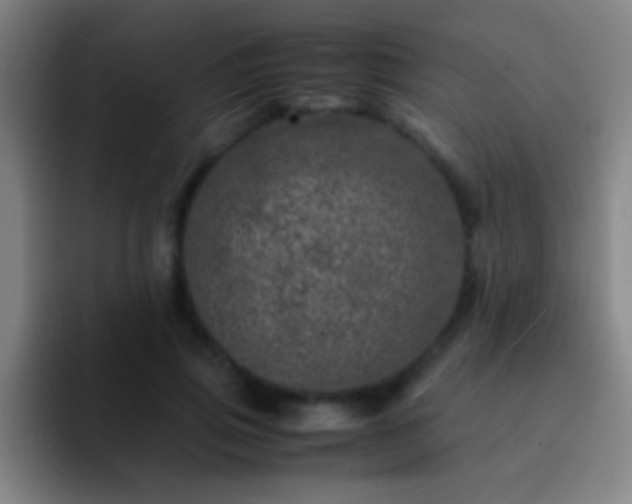 X0000092290741200709211213