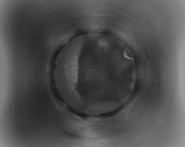 X0000092290742200709211213