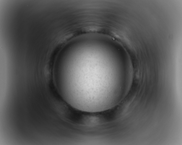 X0000092290743200709211213