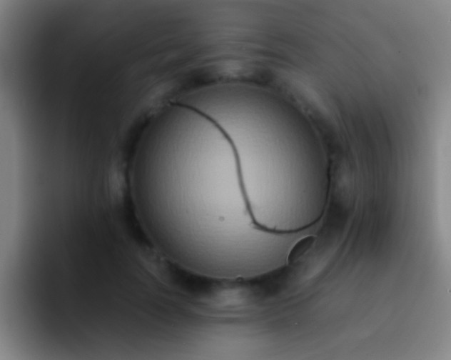 X0000092290746200709211213