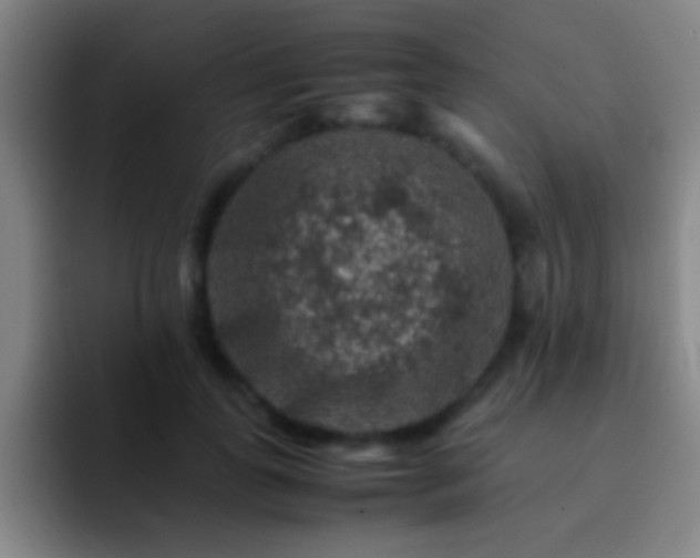 X0000092290747200709211213