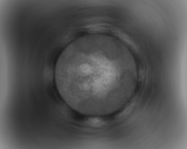 X0000092290753200709211213