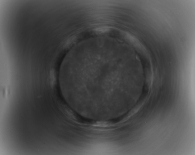 X0000092290758200709211213