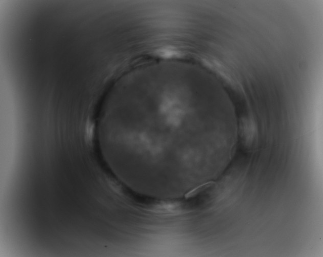 X0000092290760200709211213