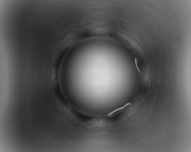 X0000092290764200709211213