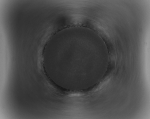 X0000092290769200709211213