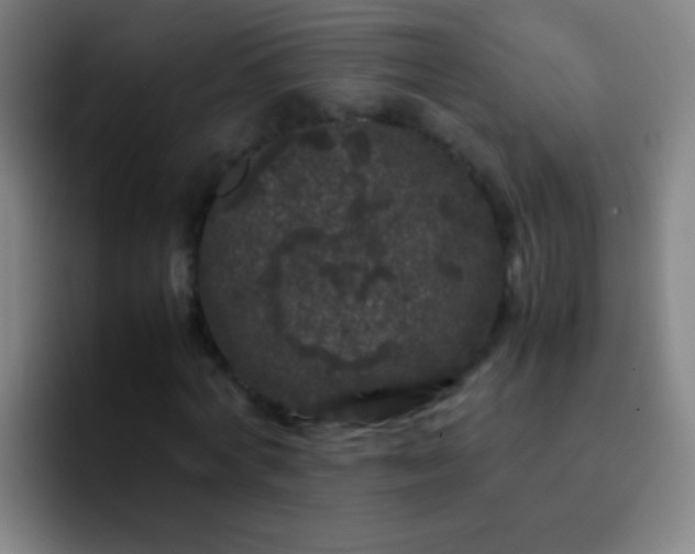 X0000092290772200709211212