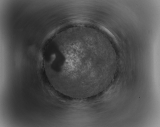 X0000092290775200709211212