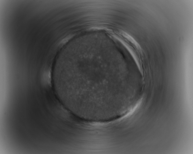 X0000092290777200709211212