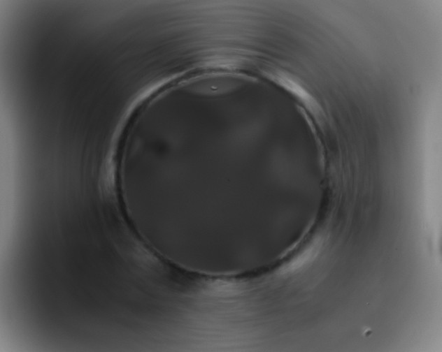 X0000092290779200709211212