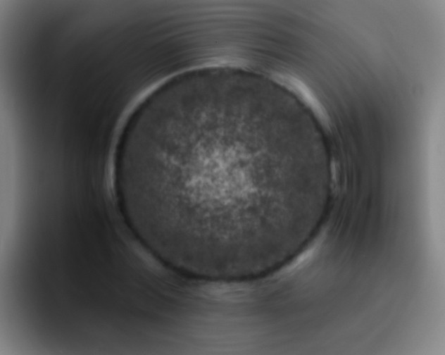 X0000092290780200709211212