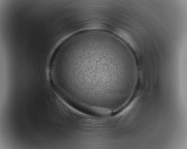 X0000092290781200709211212