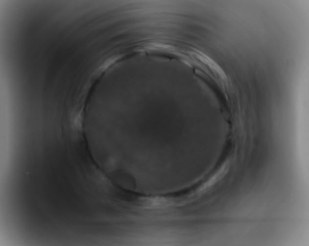 X0000092290785200709211212