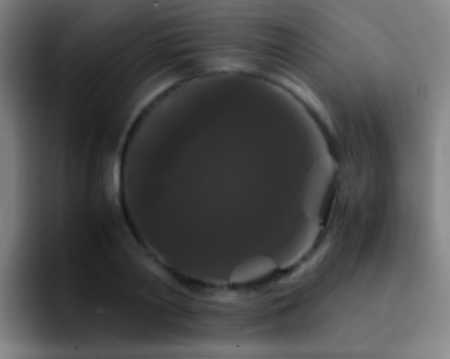 X0000092290790200709211212