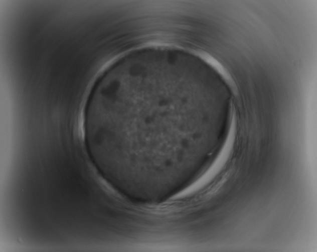 X0000092290791200709211212