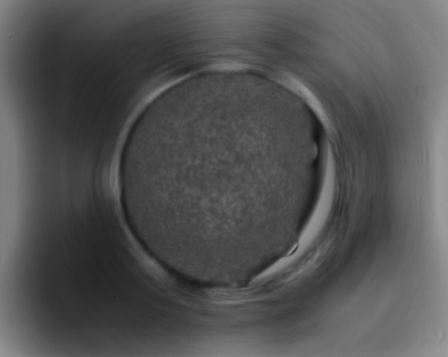 X0000092290795200709211212