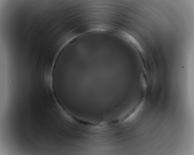 X0000092290802200709211212