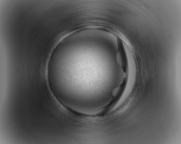 X0000092290803200709211212