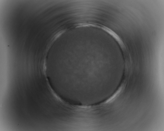 X0000092290809200709211212