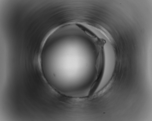 X0000092290812200709211212