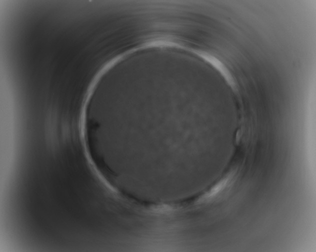 X0000092290815200709211212