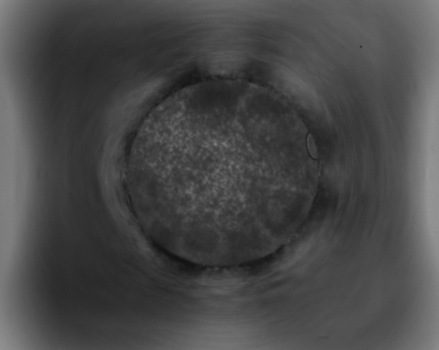 X0000092290817200709211211