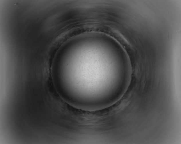 X0000092290821200709211211