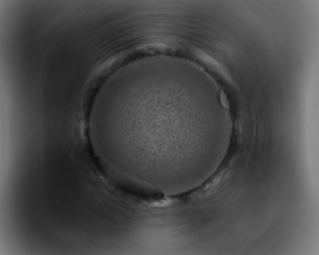 X0000092290822200709211211