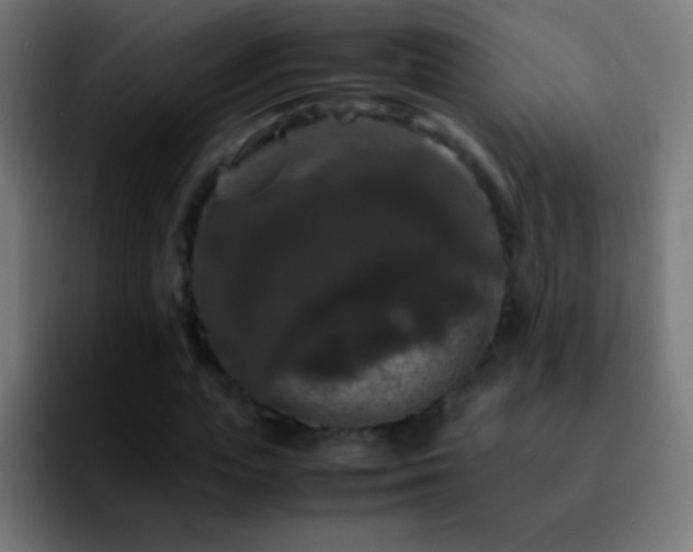 X0000092290823200709211211