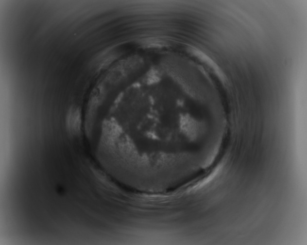 X0000092290825200709211212