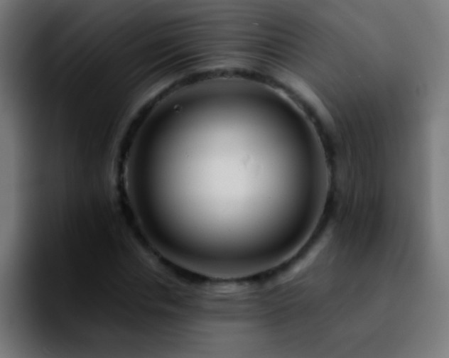 X0000092290826200709211212